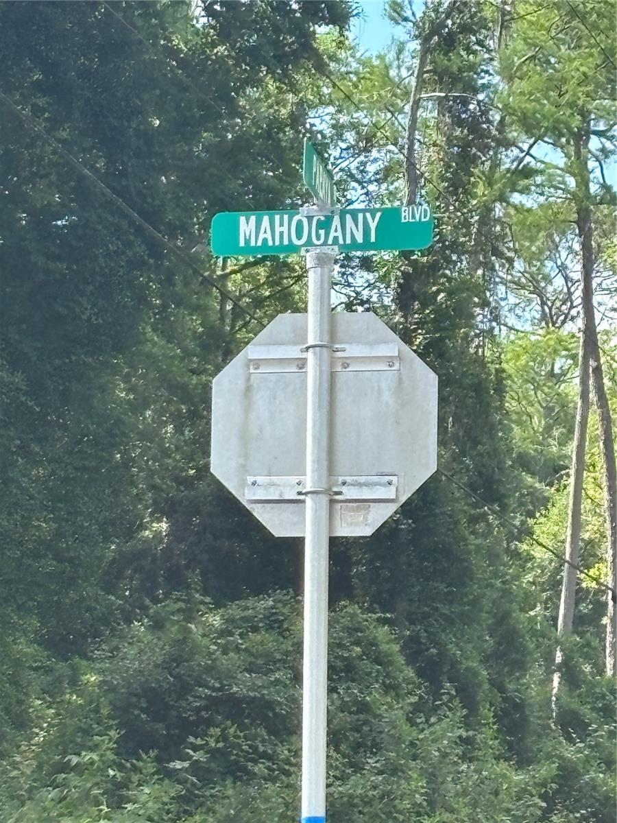 5014 MAHOGANY BLVD, BUNNELL, FL — photo 3