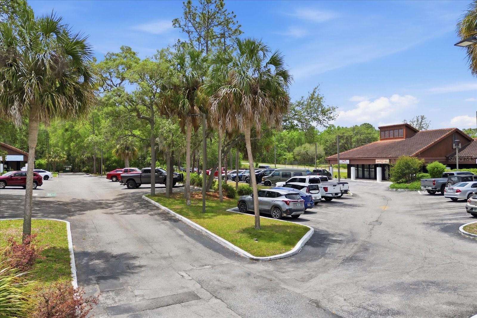 3380 E GULF TO LAKE HWY #17, INVERNESS, FL — photo 34