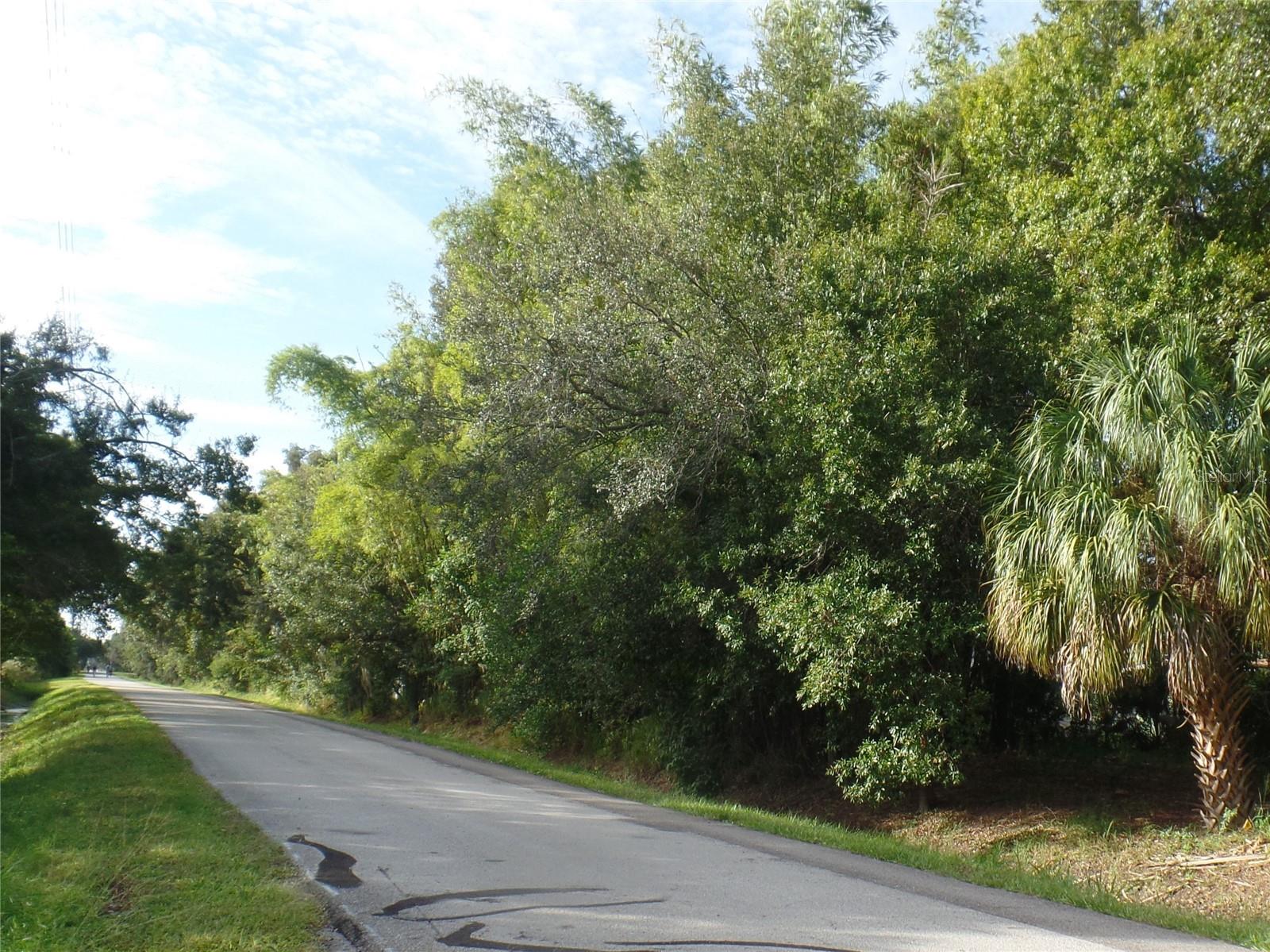 1240 70TH ST N #7, ST PETERSBURG, FL — photo 14