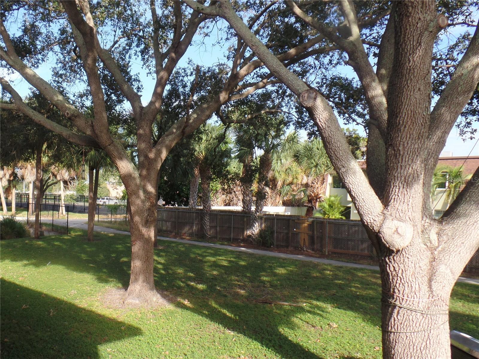 1240 70TH ST N #7, ST PETERSBURG, FL — photo 16