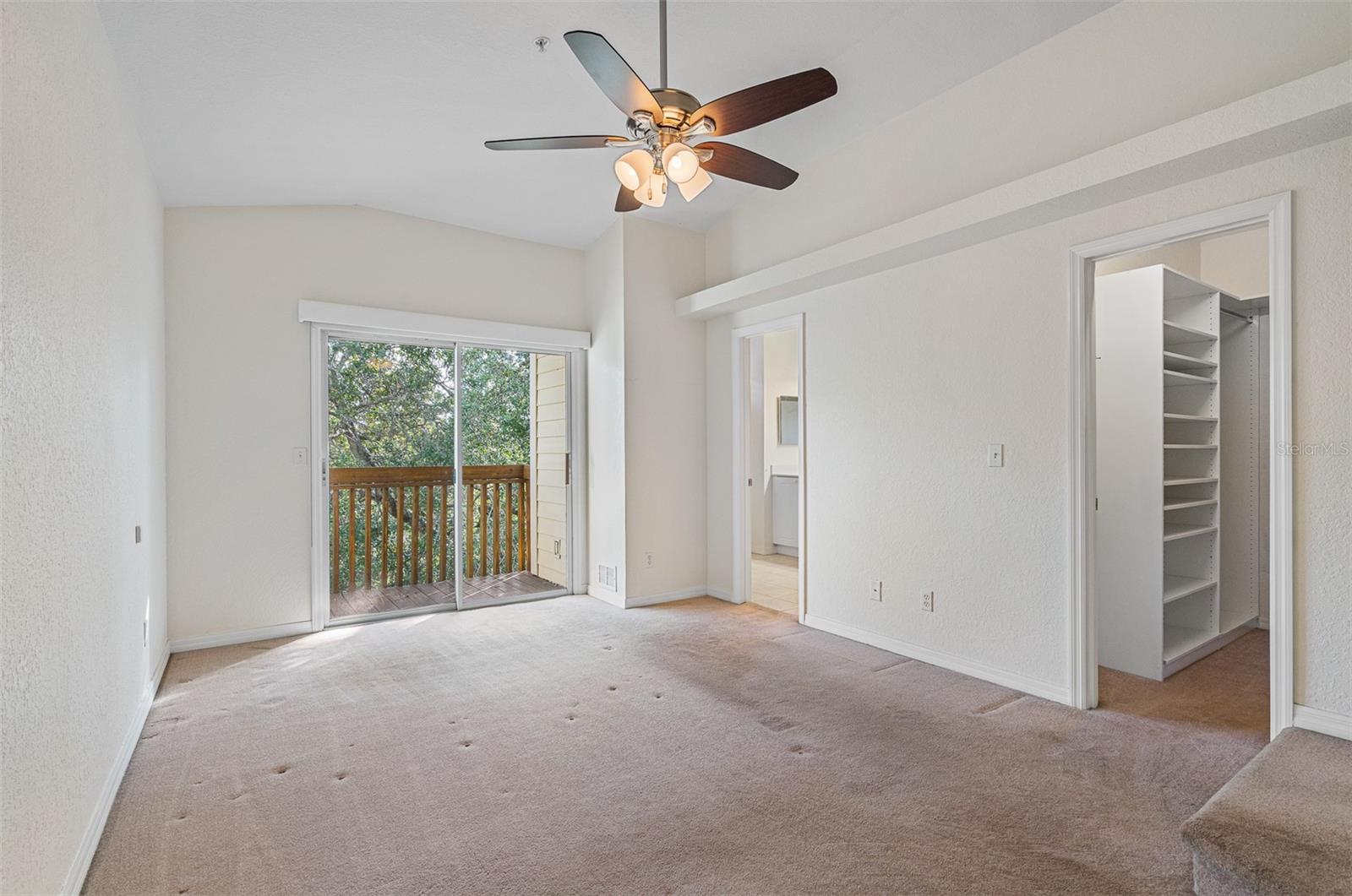1381 CURLEW RD, DUNEDIN, FL — photo 22