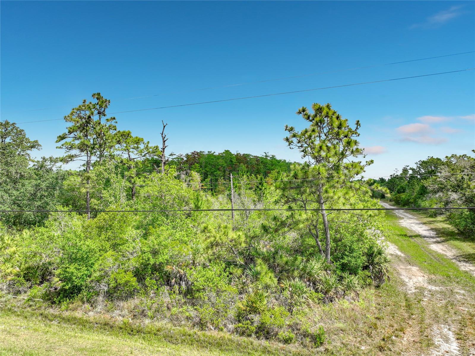 00 PADDOCK ST, ORLANDO, FL — photo 6