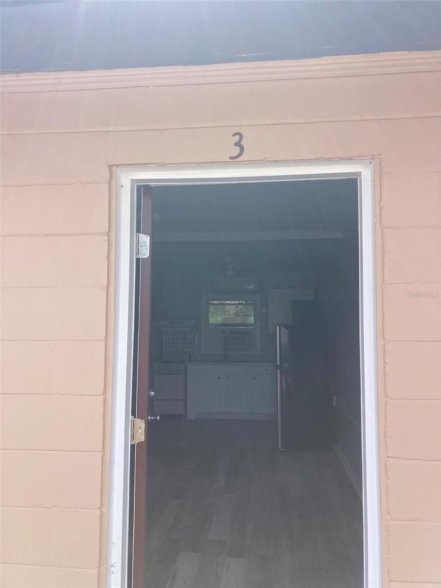 1401 E ALFRED ST #3, TAVARES, FL — photo 3
