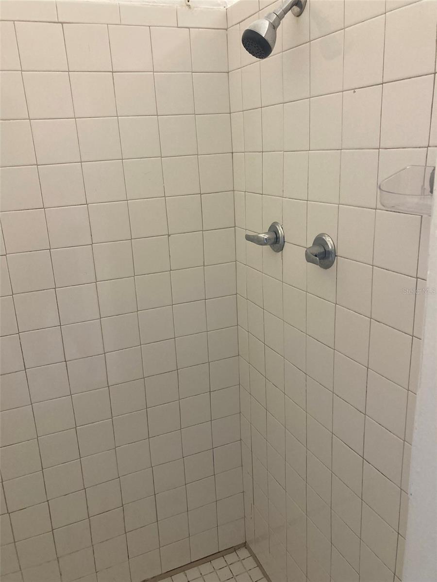 1401 E ALFRED ST #3, TAVARES, FL — photo 7