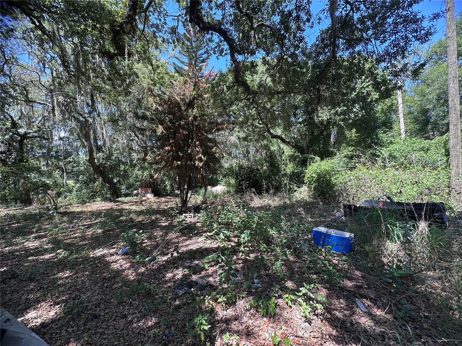 9315 E TREASURE ISLAND AVE, LEESBURG, FL — photo 45