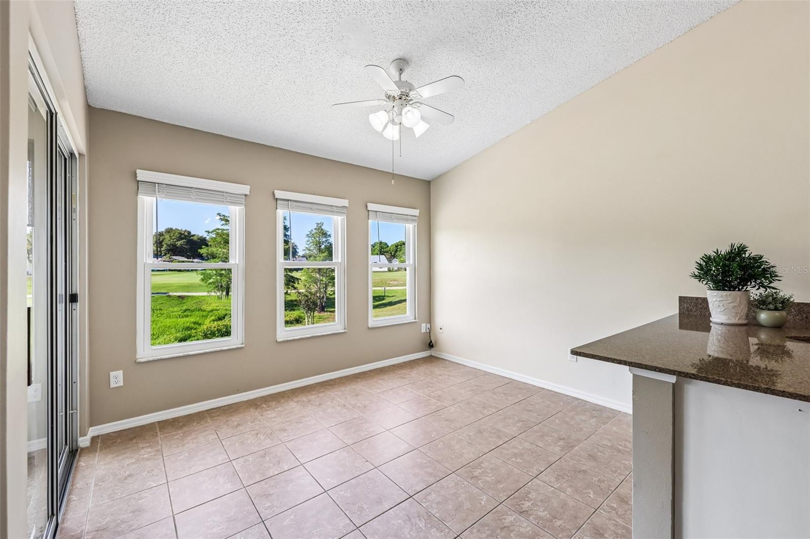 26234 GLEN EAGLE DR, LEESBURG, FL — photo 24