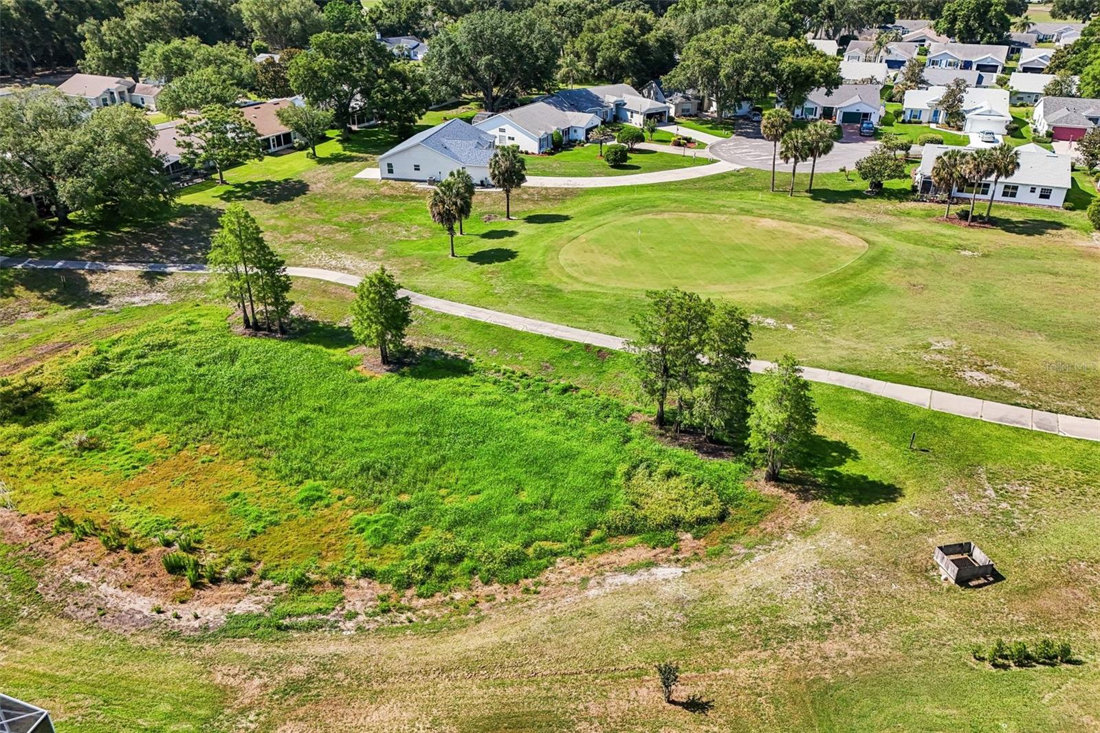 26234 GLEN EAGLE DR, LEESBURG, FL — photo 85