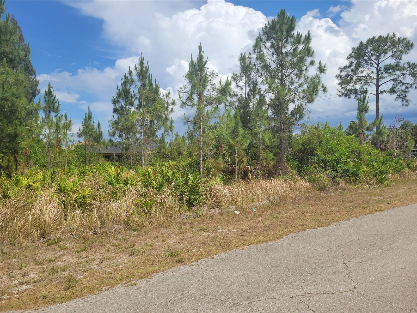 2601 E 10TH ST, LEHIGH ACRES, FL — photo 2