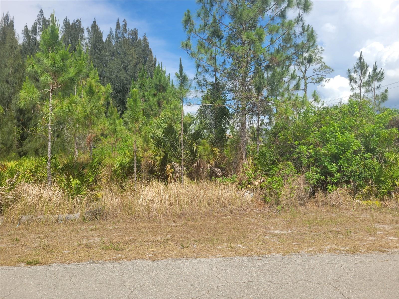 2601 E 10TH ST, LEHIGH ACRES, FL — photo 3