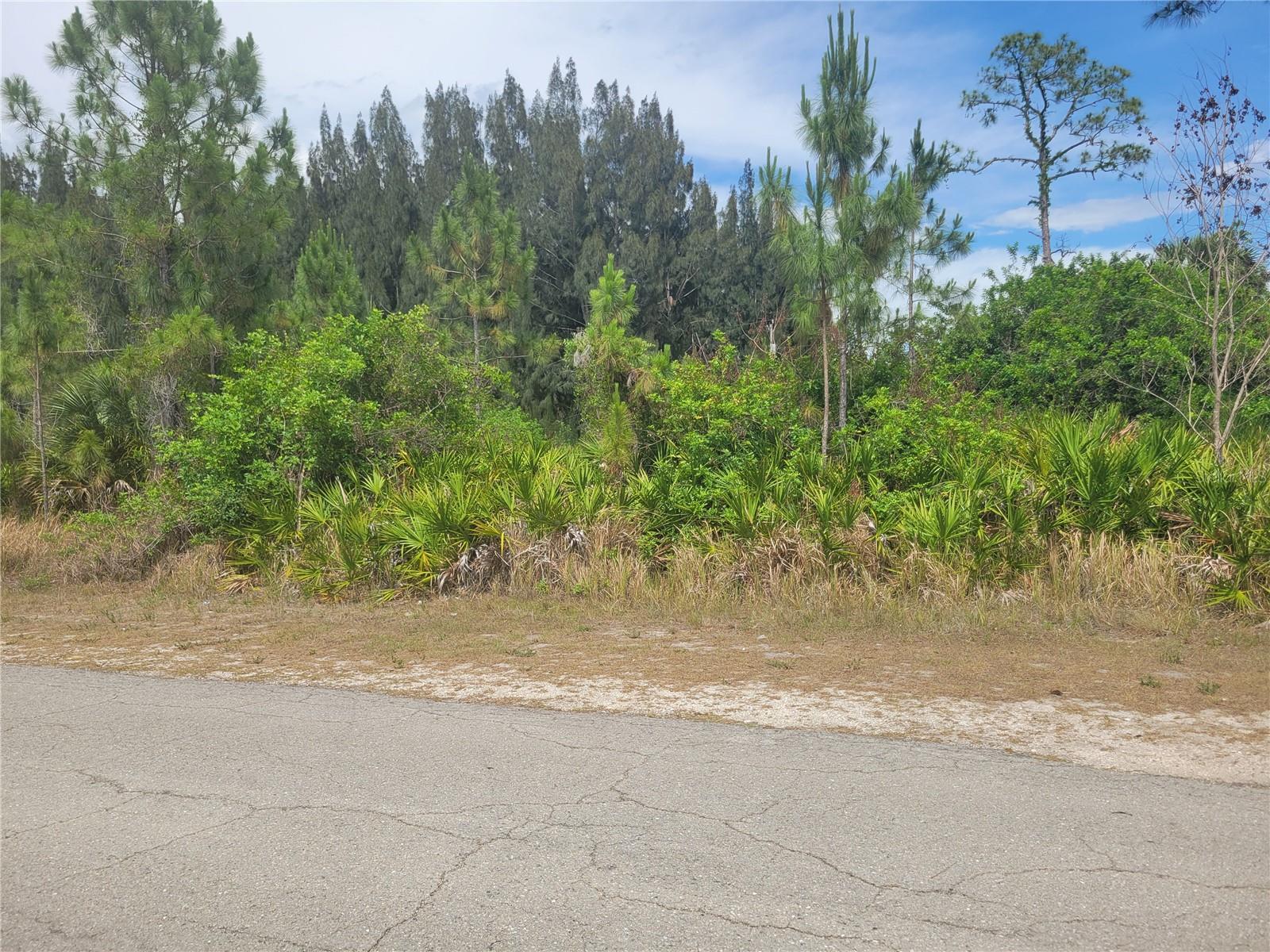 2601 E 10TH ST, LEHIGH ACRES, FL — photo 6