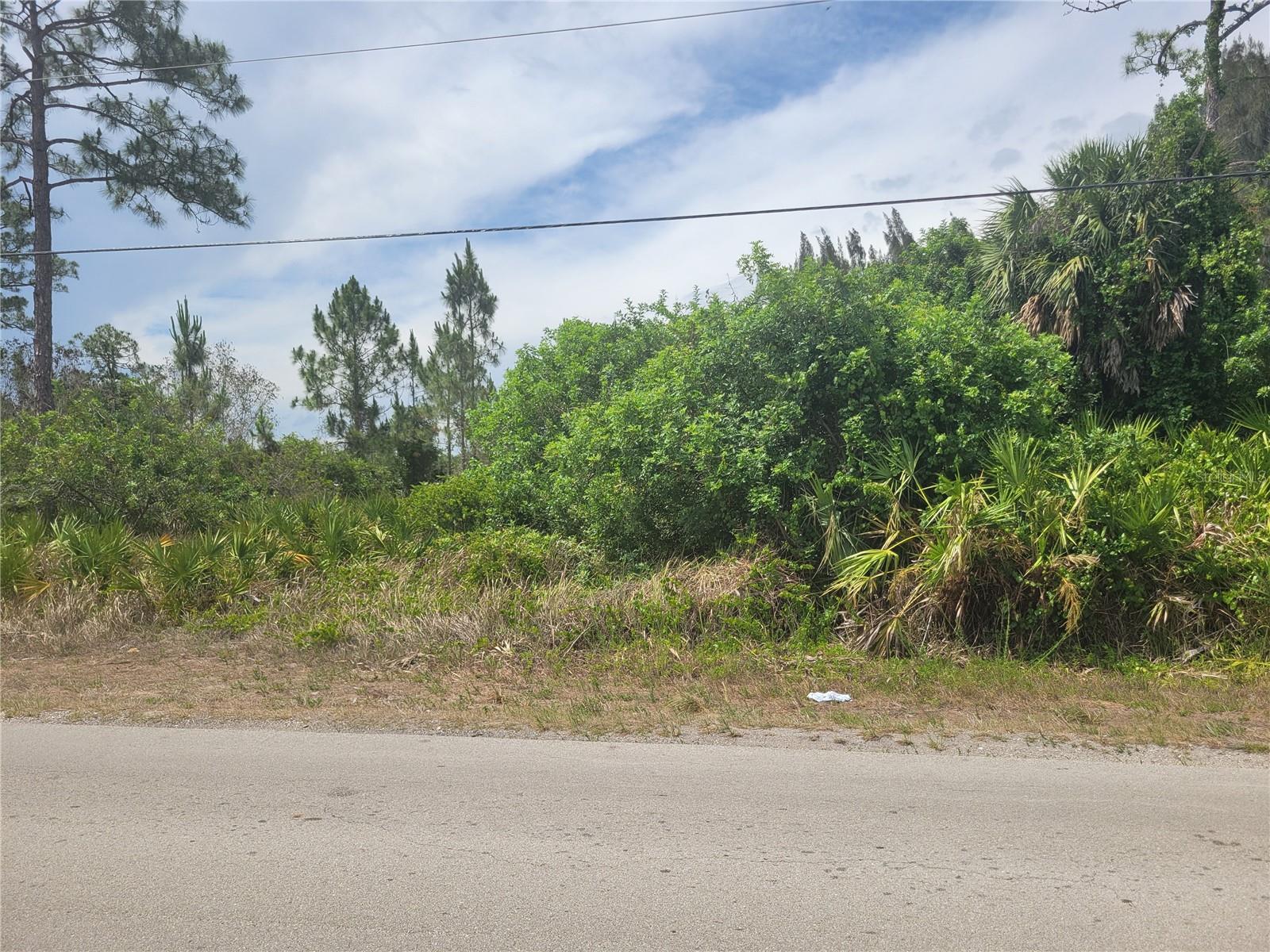 2601 E 10TH ST, LEHIGH ACRES, FL — photo 11