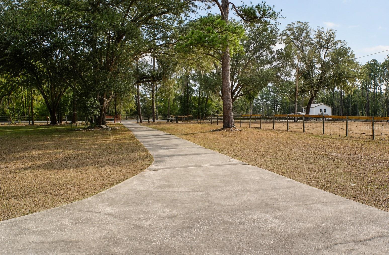 13124 NW 160TH AVE, MORRISTON, FL — photo 14