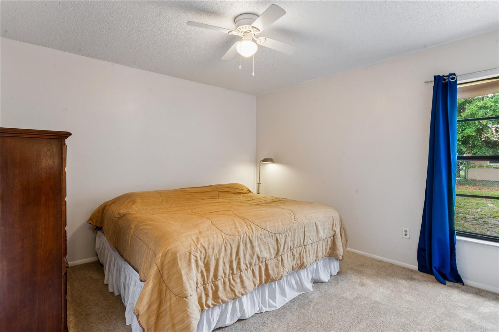 1238 FUCHSIA DR, HOLIDAY, FL — photo 15