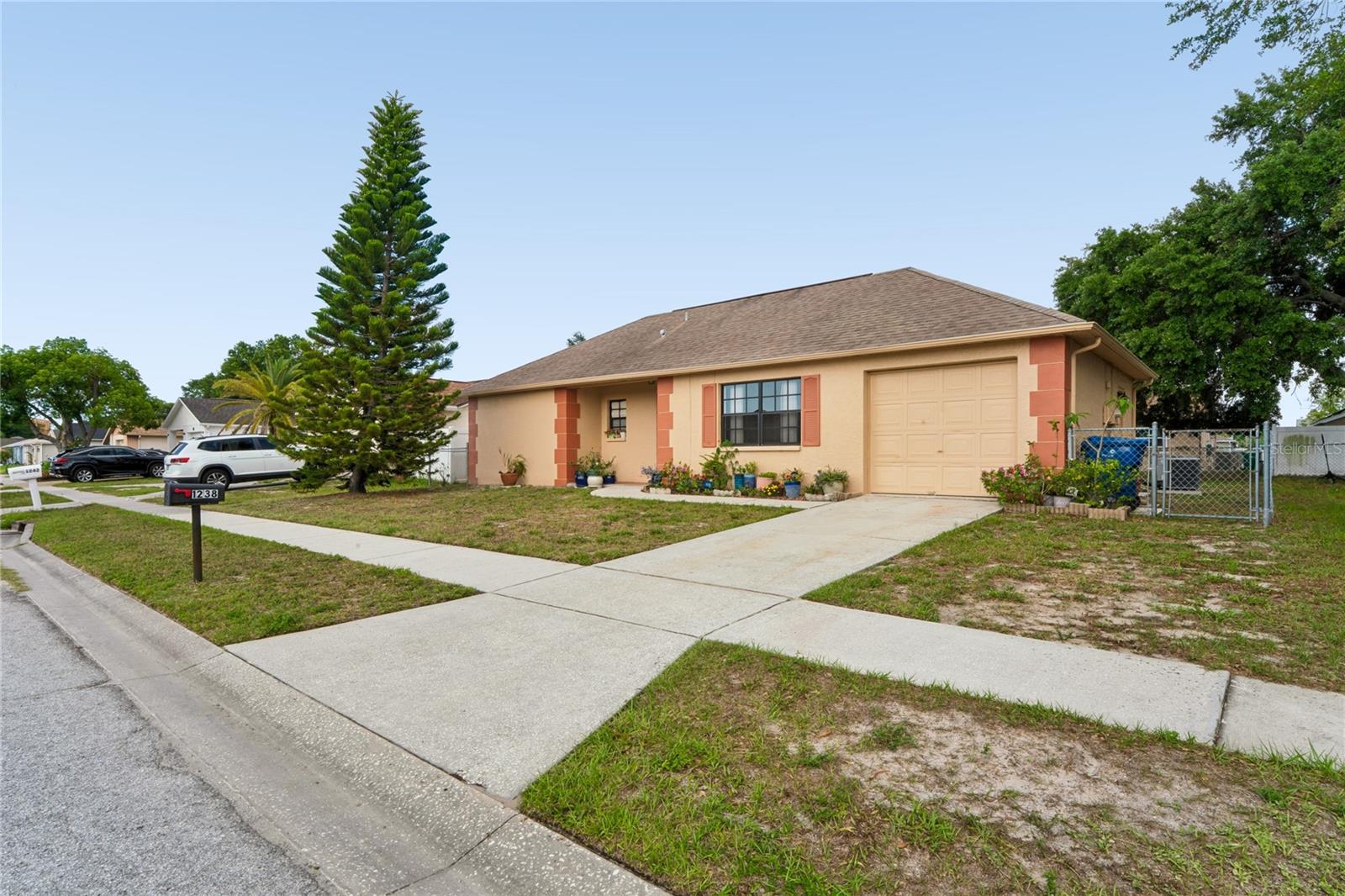 1238 FUCHSIA DR, HOLIDAY, FL — photo 25