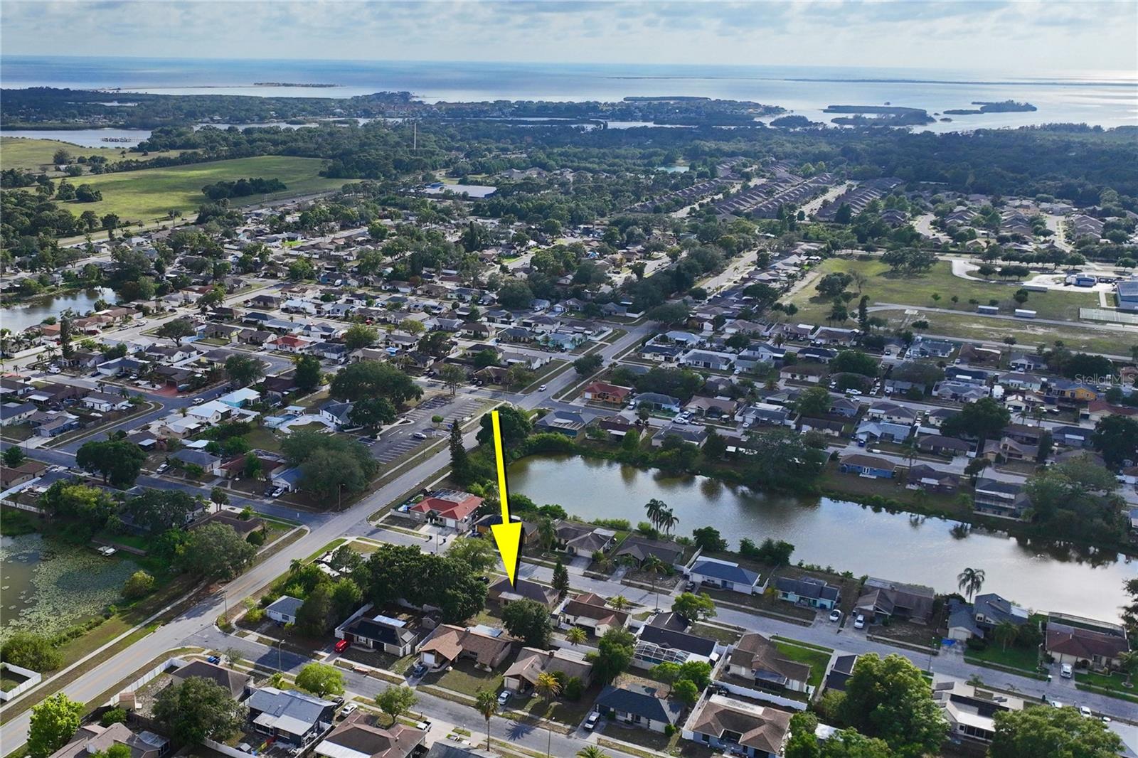 1238 FUCHSIA DR, HOLIDAY, FL — photo 29