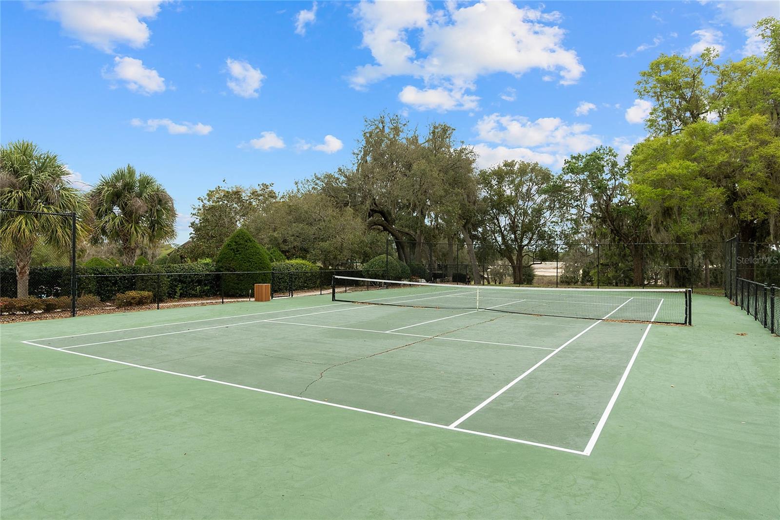 23503 VALDERAMA LN, SORRENTO, FL — photo 122