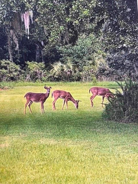 2300 PINE MEADOWS PL, CHULUOTA, FL — photo 66