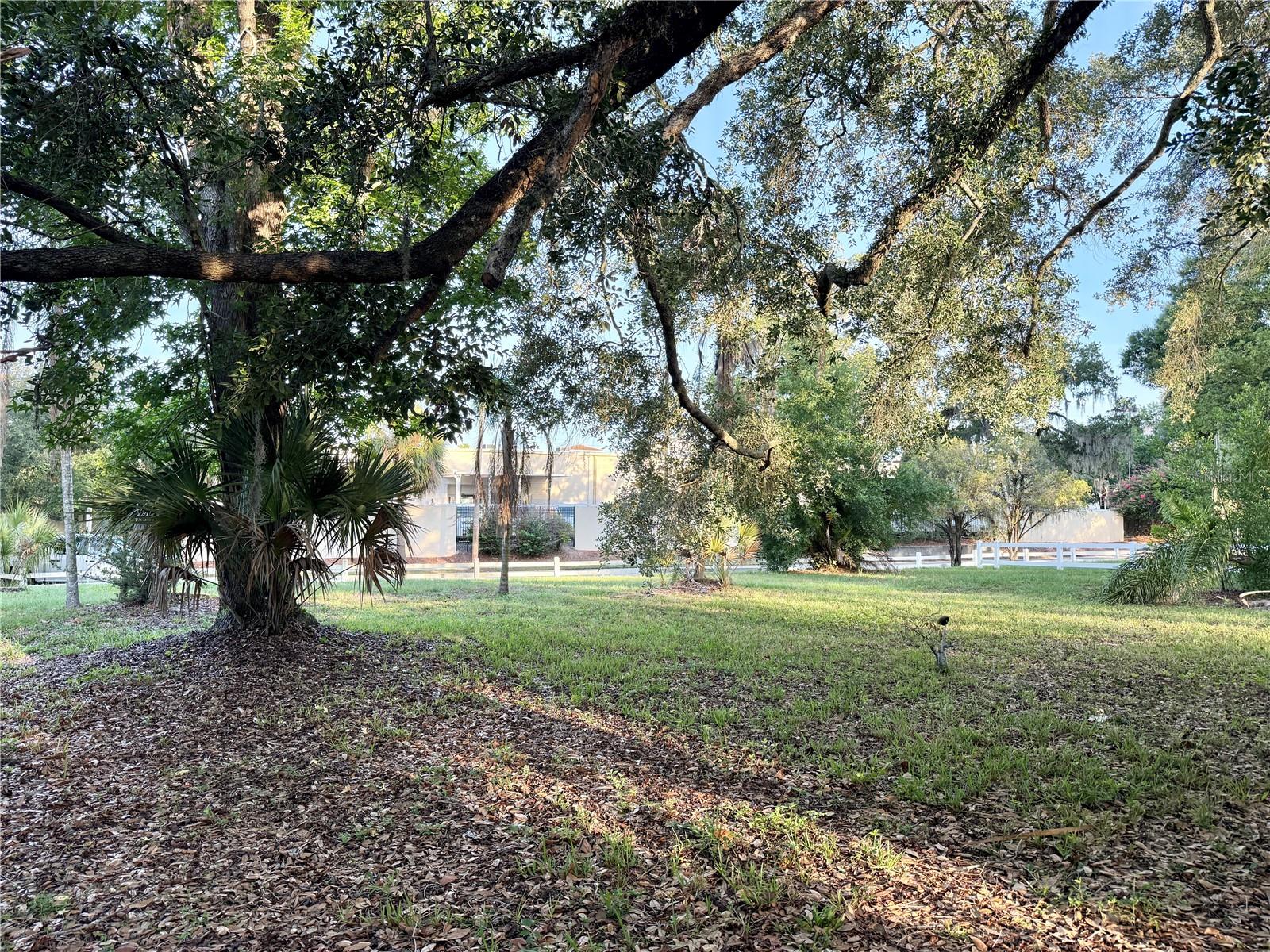 304 SPRINGDALE PLACE, TEMPLE TERRACE, FL — photo 3