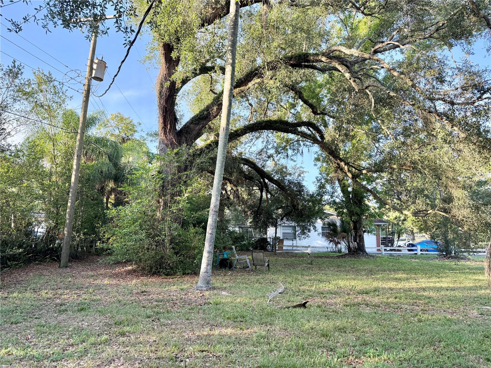304 SPRINGDALE PLACE, TEMPLE TERRACE, FL — photo 5