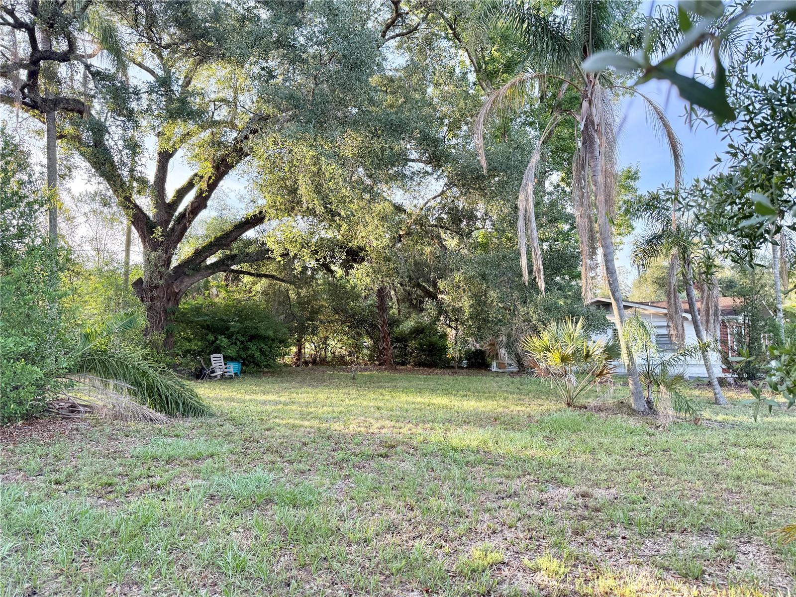 304 SPRINGDALE PLACE, TEMPLE TERRACE, FL — photo 6