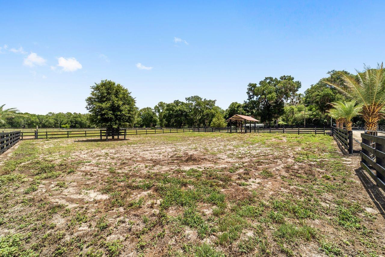16392 NE JACKSONVILLE RD, CITRA, FL — photo 32