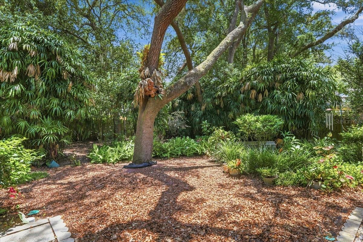 309 OAK LEAF CIR, LAKE MARY, FL — photo 21