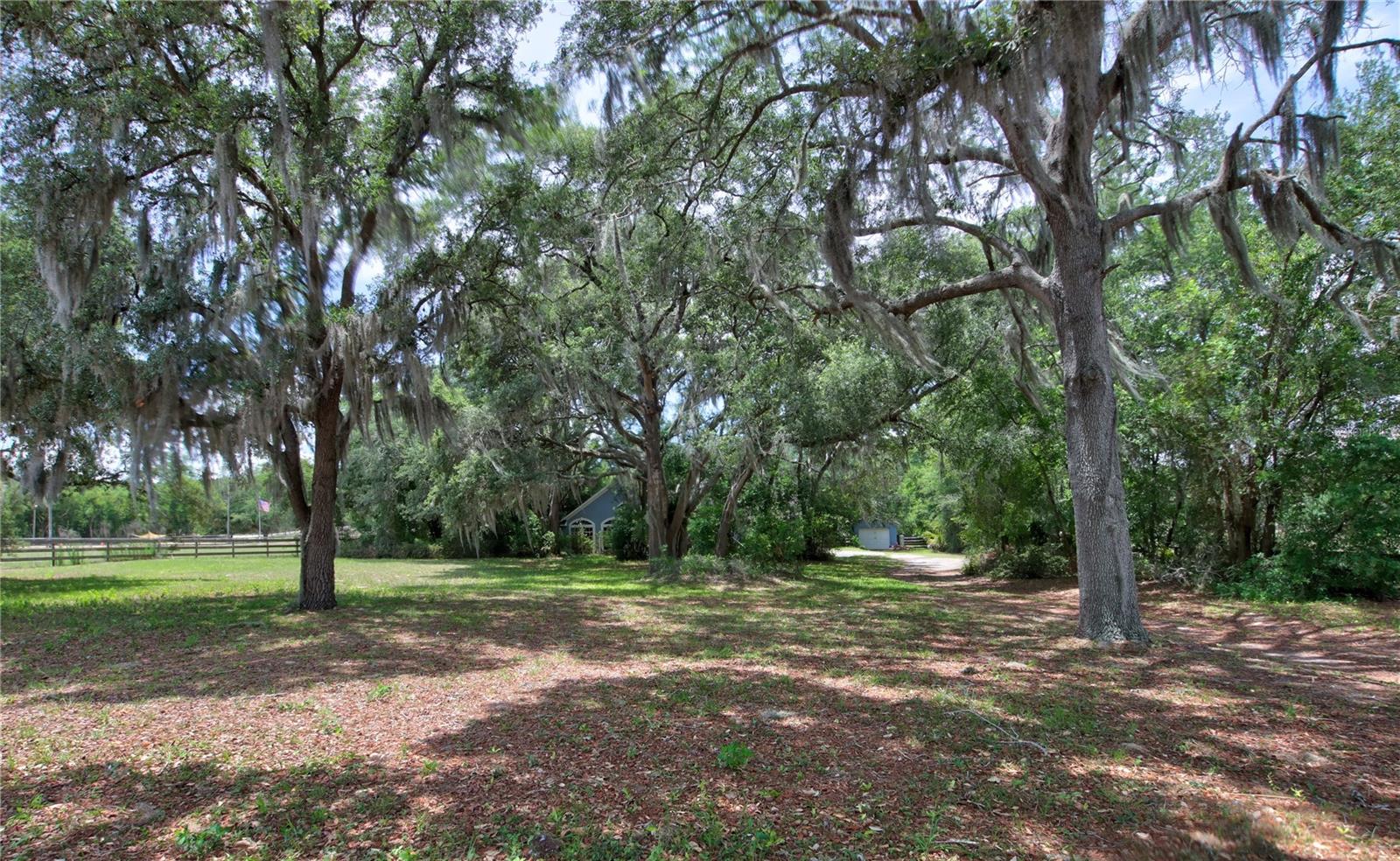 34847 COUNTY ROAD 439, EUSTIS, FL — photo 4