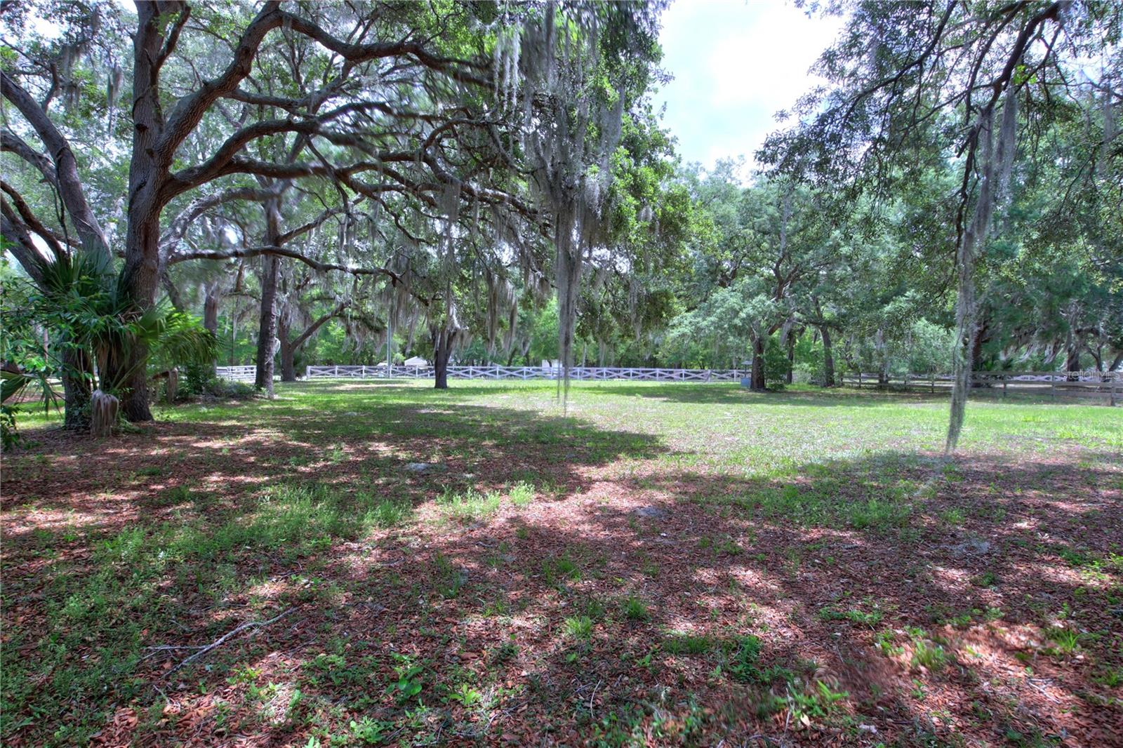 34847 COUNTY ROAD 439, EUSTIS, FL — photo 5