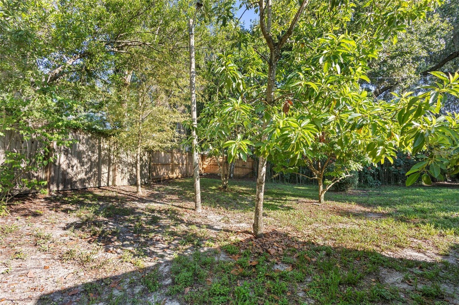 611 N GARFIELD AVE, DELAND, FL — photo 38