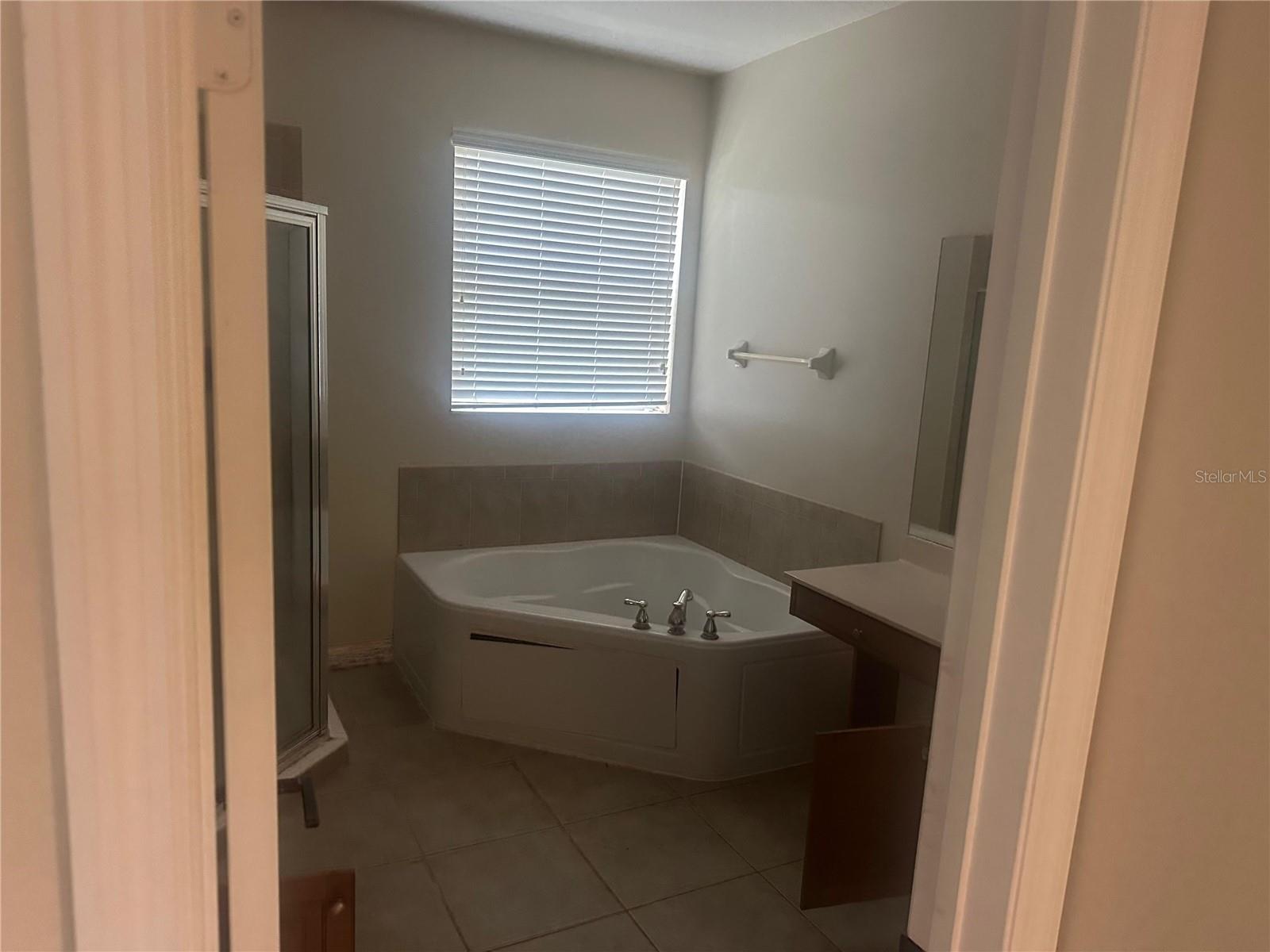 2981 MARSHFIELD PRESERVE WAY, KISSIMMEE, FL — photo 10