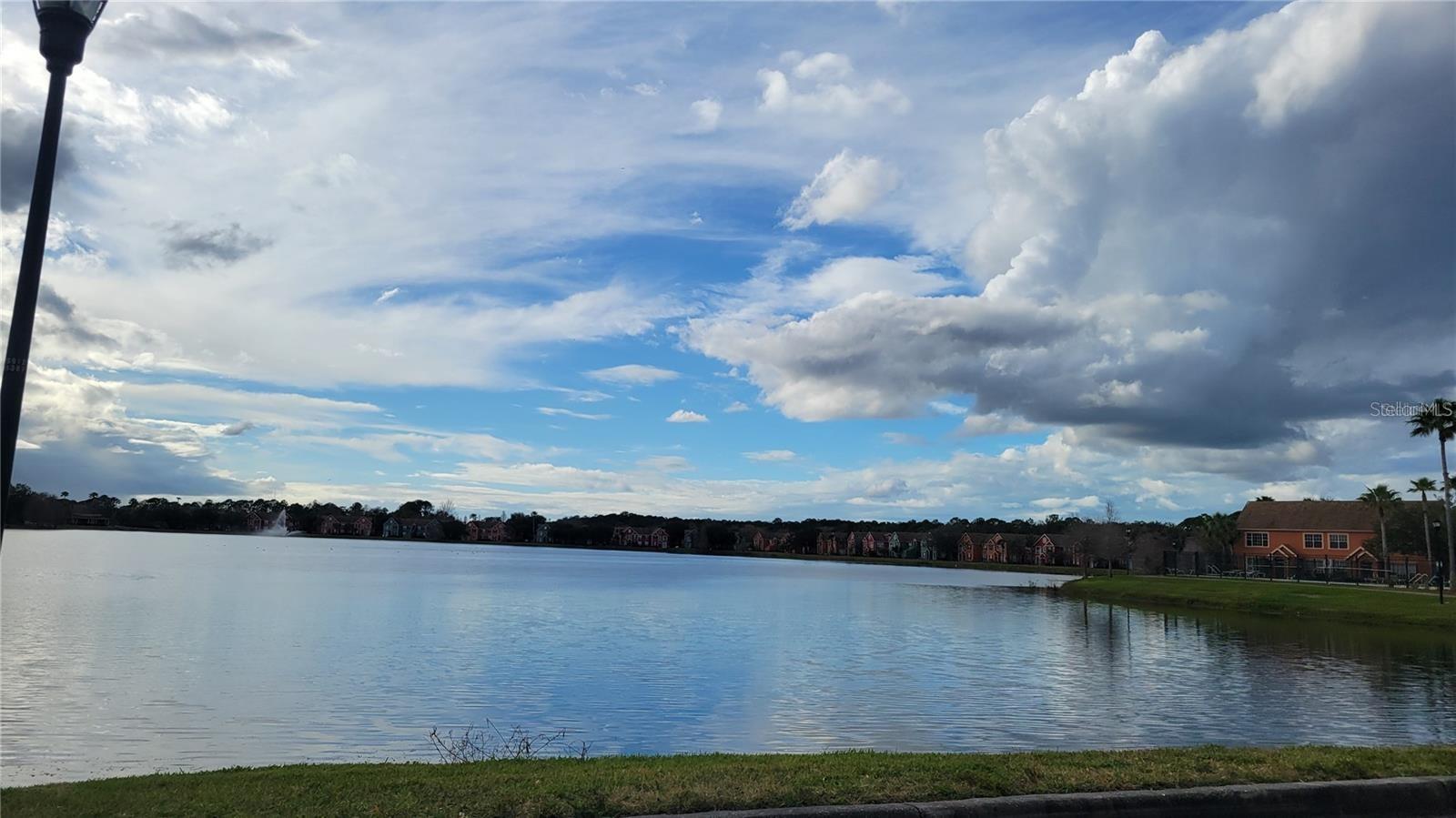 10562 WINDSOR LAKE CT #10562, TAMPA, FL — photo 2