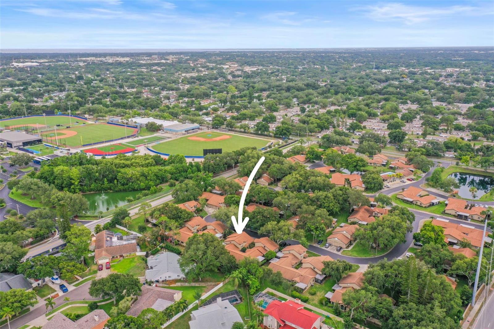 1668 HAMILTON CT #2061, DUNEDIN, FL — photo 3