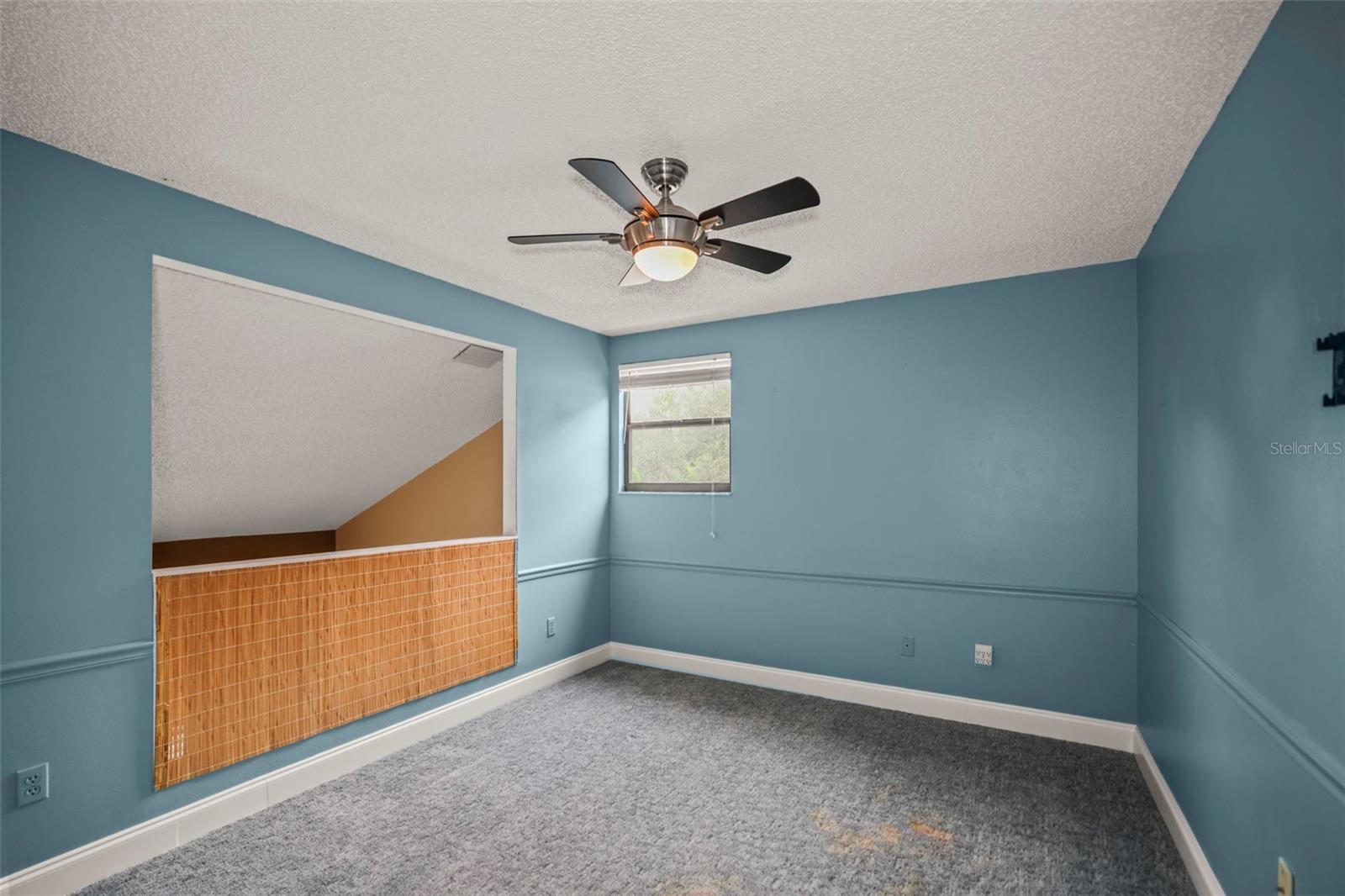 1668 HAMILTON CT #2061, DUNEDIN, FL — photo 23