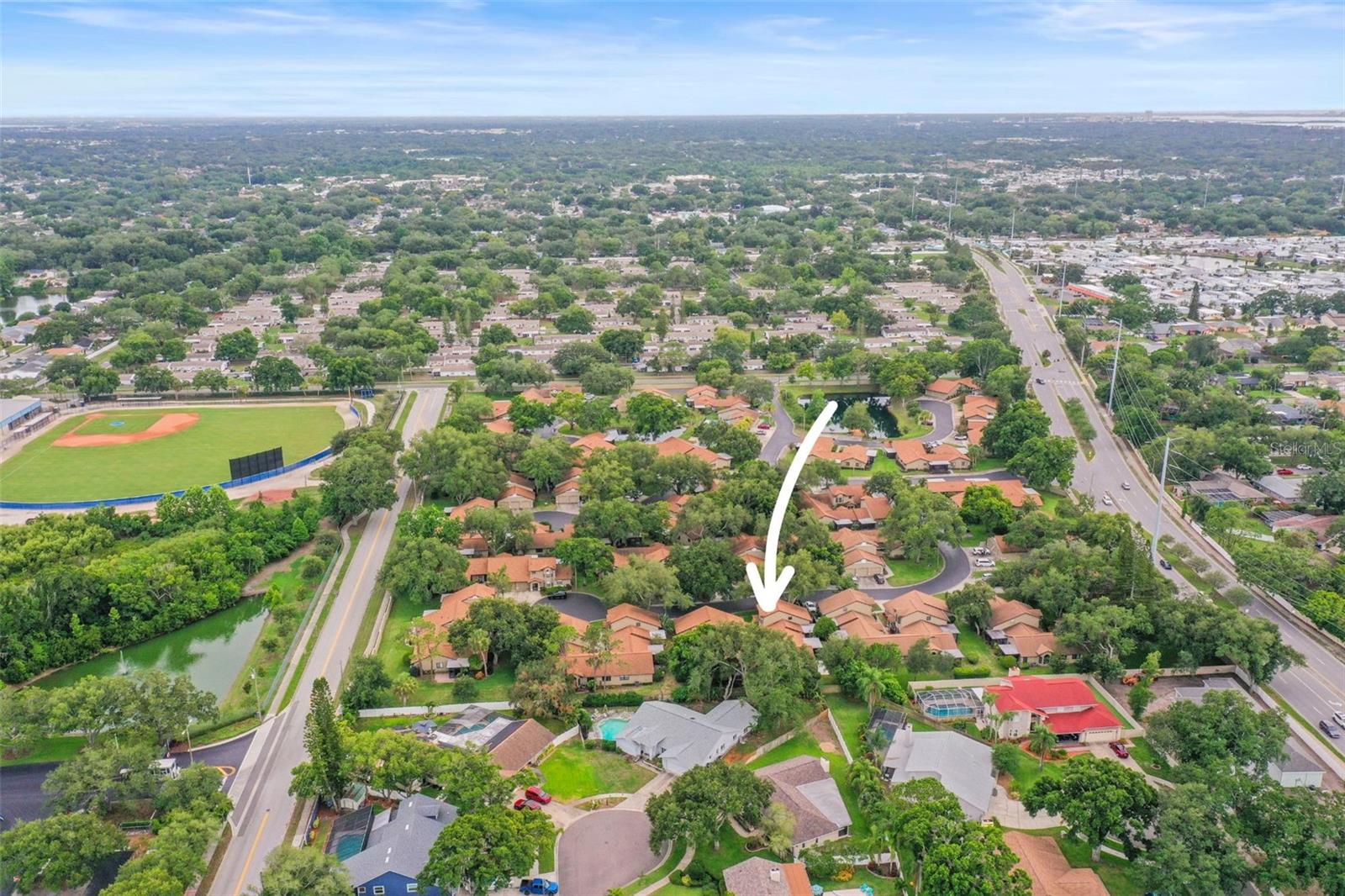 1668 HAMILTON CT #2061, DUNEDIN, FL — photo 42