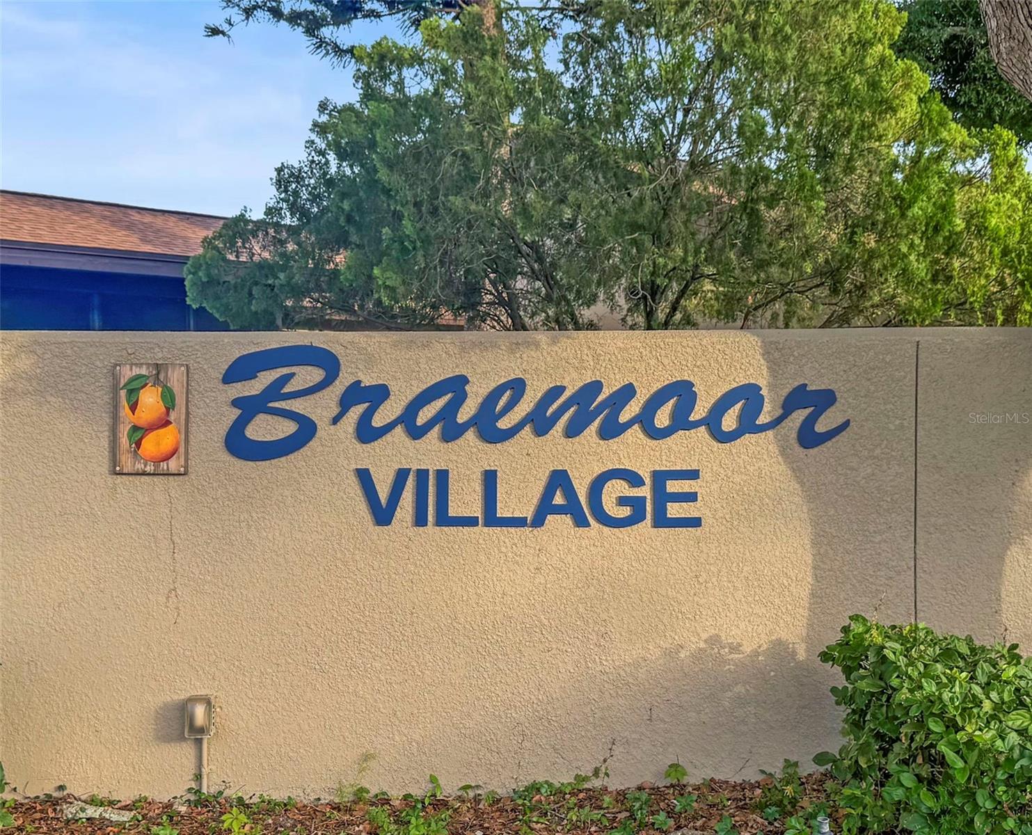 1668 HAMILTON CT #2061, DUNEDIN, FL — photo 43