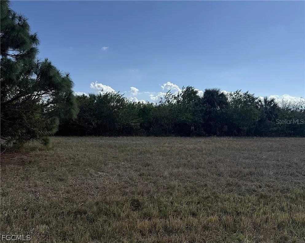 , PLACIDA, FL — photo 4