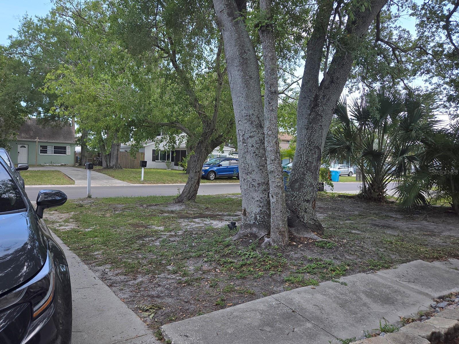 3667 135TH AVE, LARGO, FL — photo 13