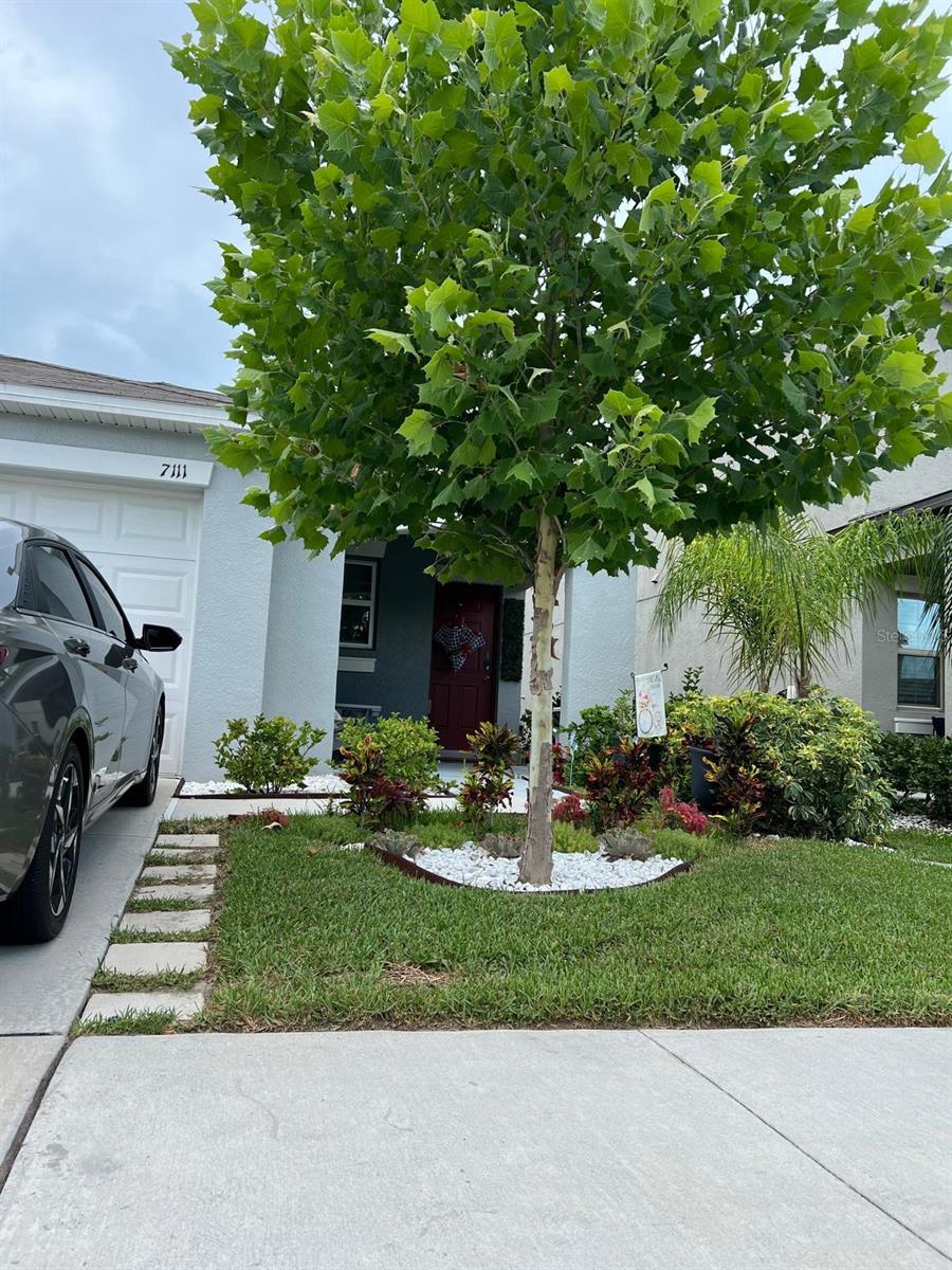 7111 AMELIA COVE CT, SUN CITY CENTER, FL — photo 2