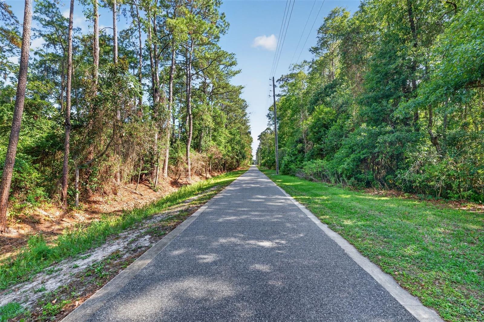 2305 NW 44TH PL, GAINESVILLE, FL — photo 31
