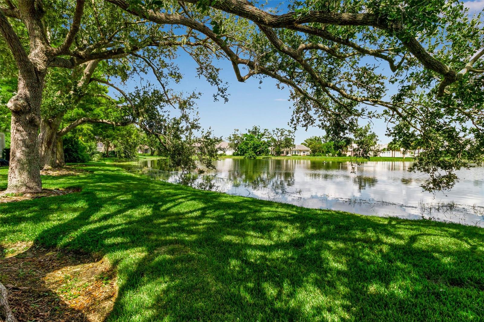 101 OSPREY POINT DR, OSPREY, FL — photo 57