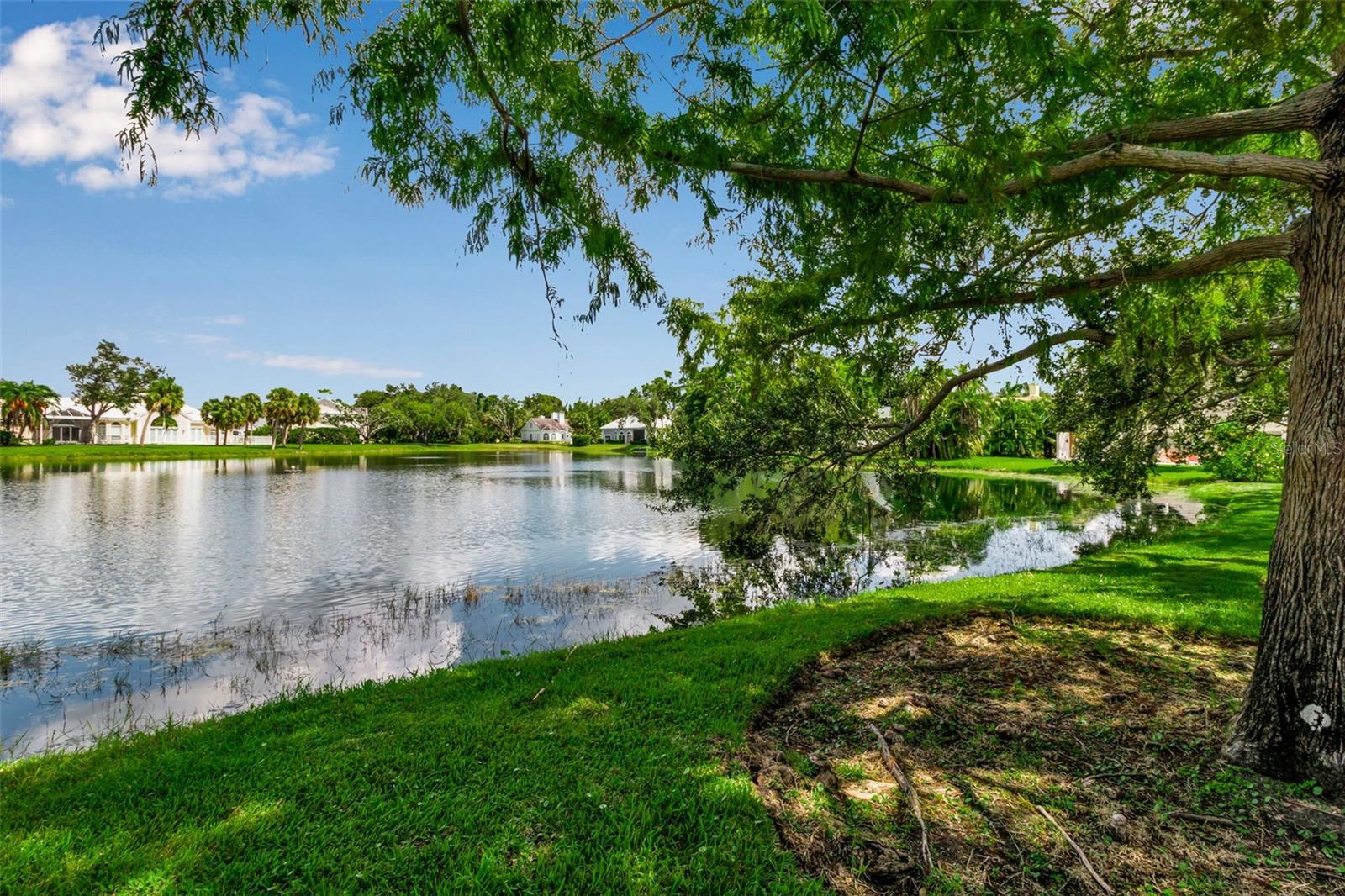 101 OSPREY POINT DR, OSPREY, FL — photo 58