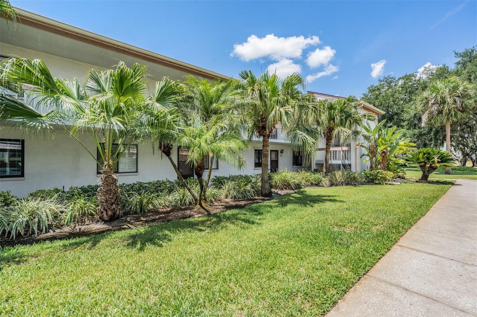 112 LAKEVIEW PL #12, OLDSMAR, FL — photo 2