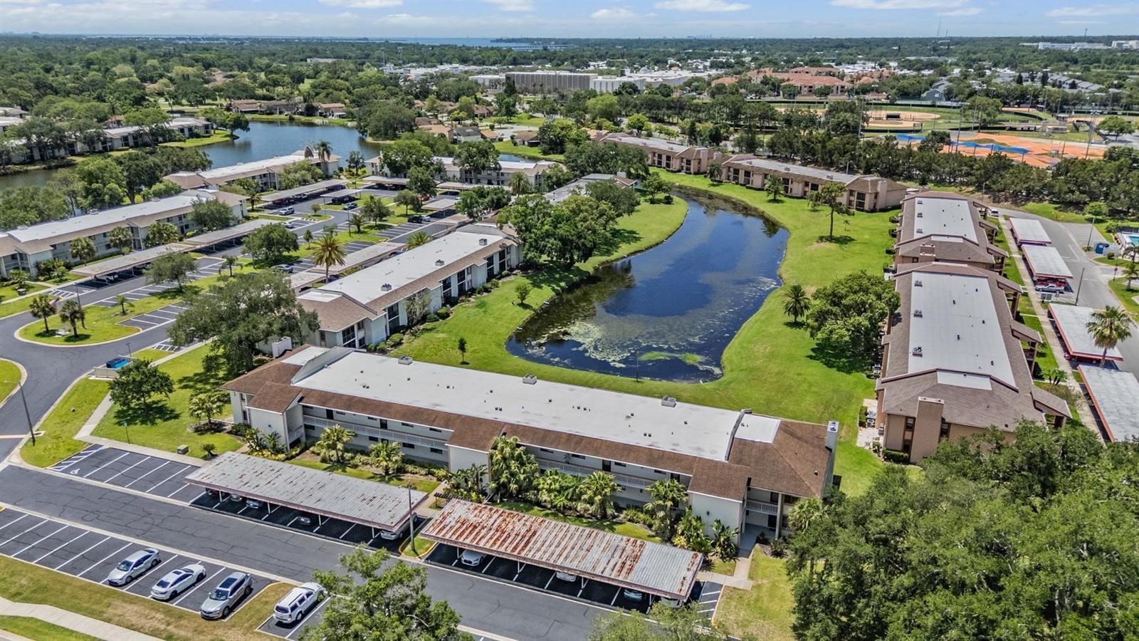 112 LAKEVIEW PL #12, OLDSMAR, FL — photo 7