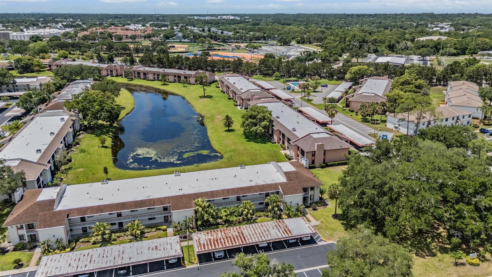 112 LAKEVIEW PL #12, OLDSMAR, FL — photo 8