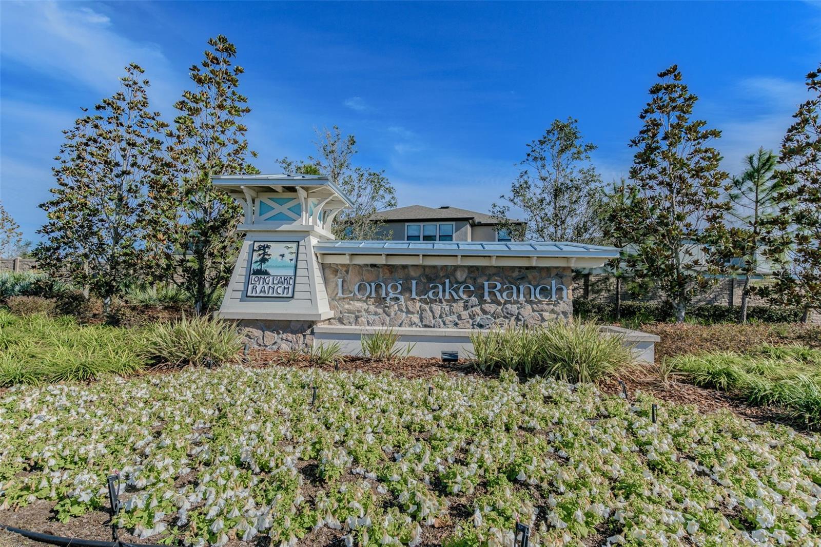 1192 MULTIFLORA LOOP, LUTZ, FL — photo 32
