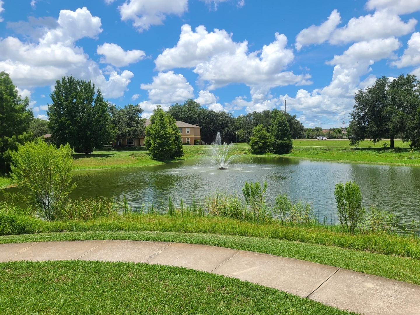 36106 LAKE CHASE BLVD #102, ZEPHYRHILLS, FL — photo 40