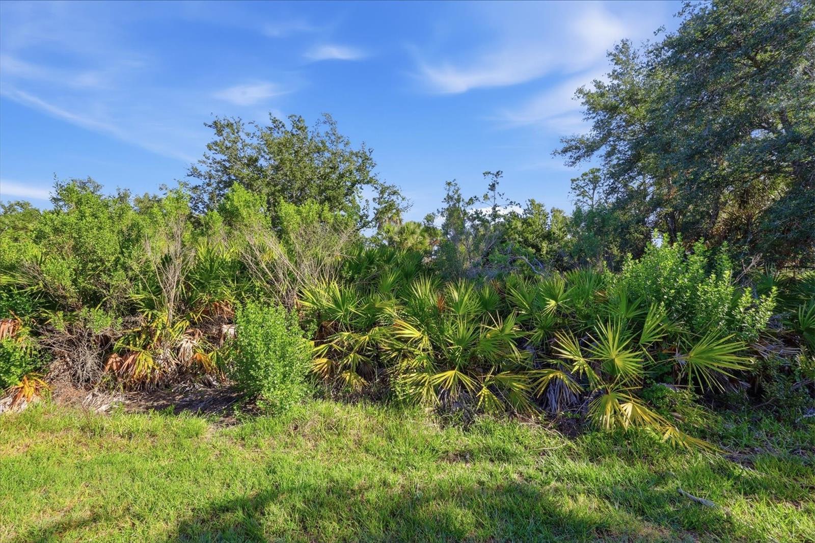 12540 CANAVESE LN, VENICE, FL — photo 60