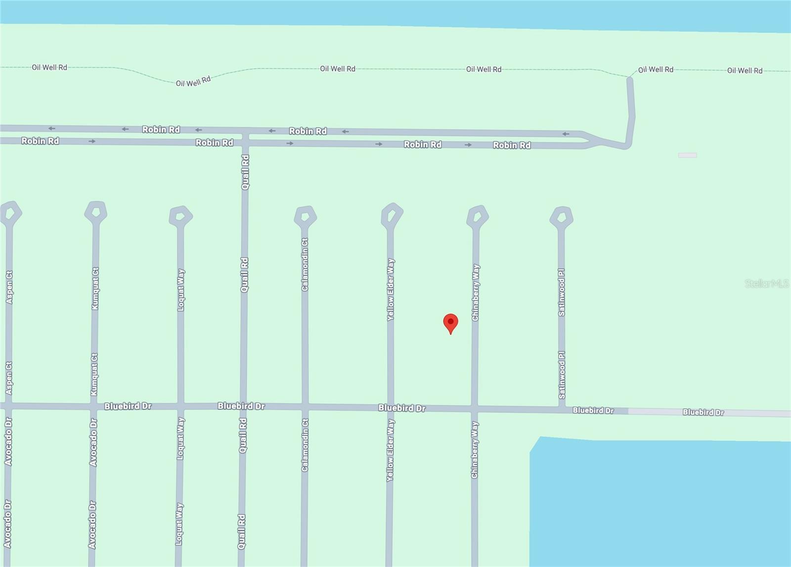23 CHINABERRY WAY, PLACIDA, FL