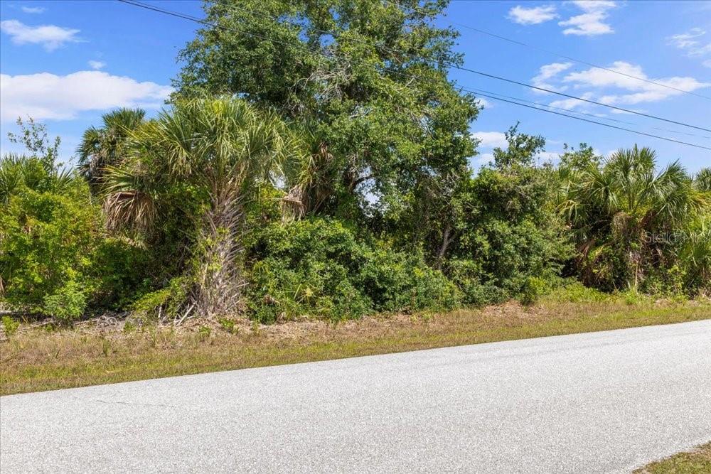 10120 WINNIPEG ST, PORT CHARLOTTE, FL — photo 16