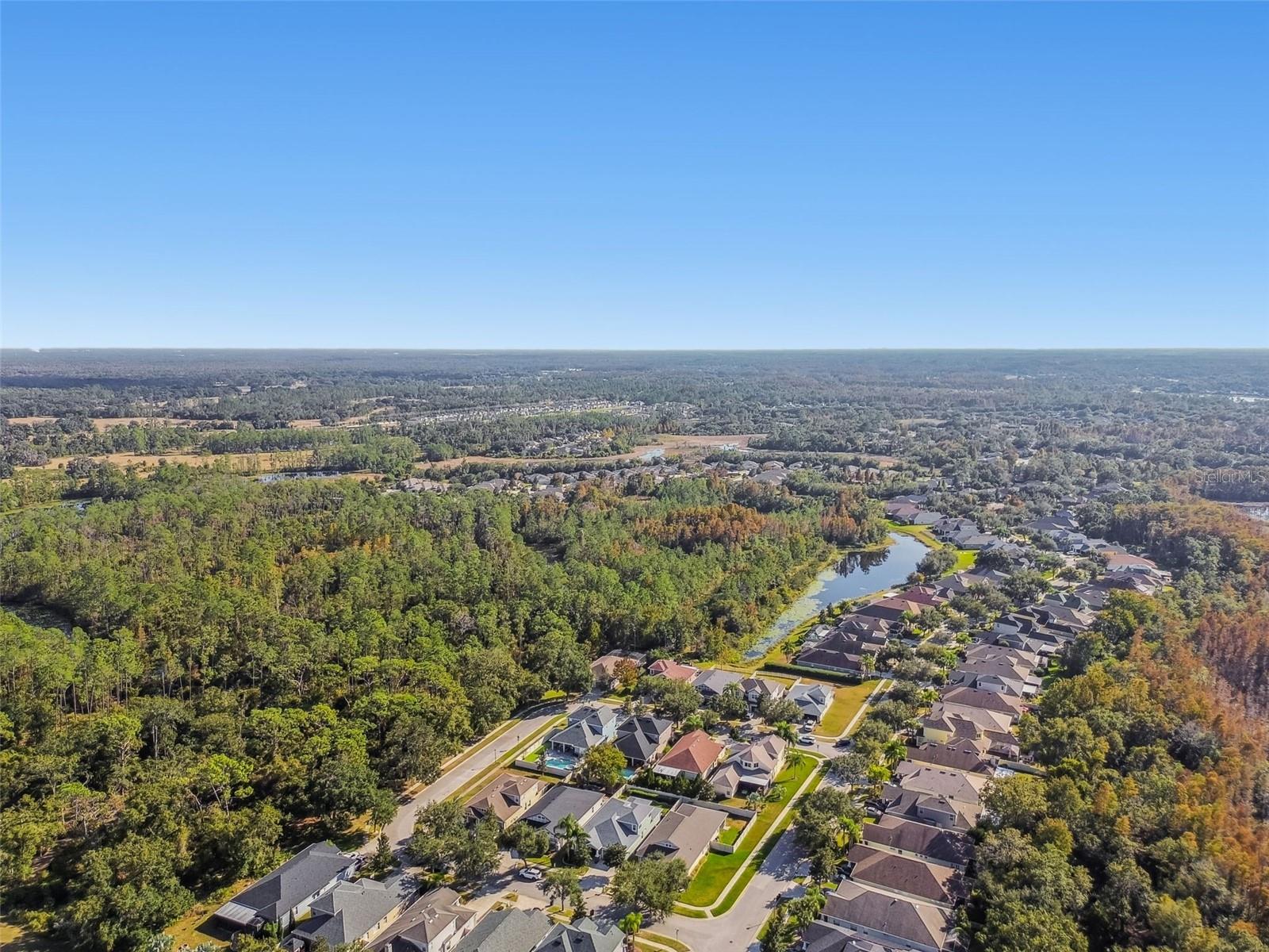 21753 GARDEN WALK LOOP, LAND O LAKES, FL — photo 42